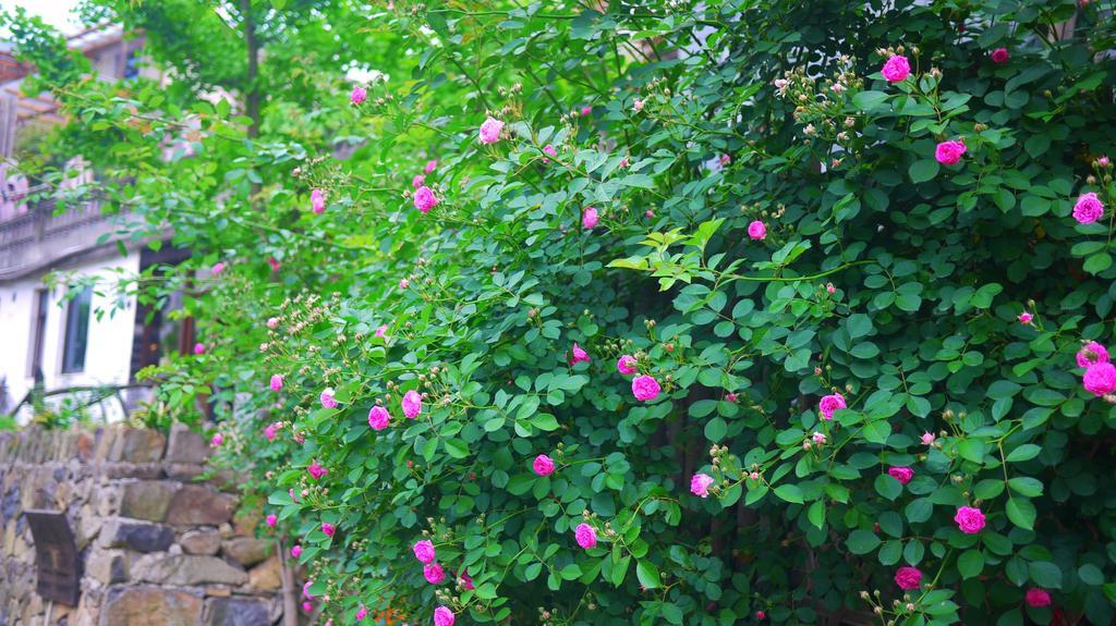 Moganshan Bamboo View Guesthouse Deqing Екстер'єр фото